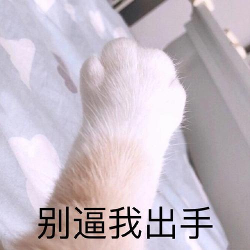 别逼我出手游戏下载_别逼我出手手游下载_别逼我出手安卓苹果app