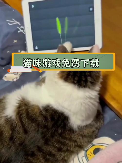 解压猫咪游戏下载_解压猫咪官网下载_手机安卓苹果app