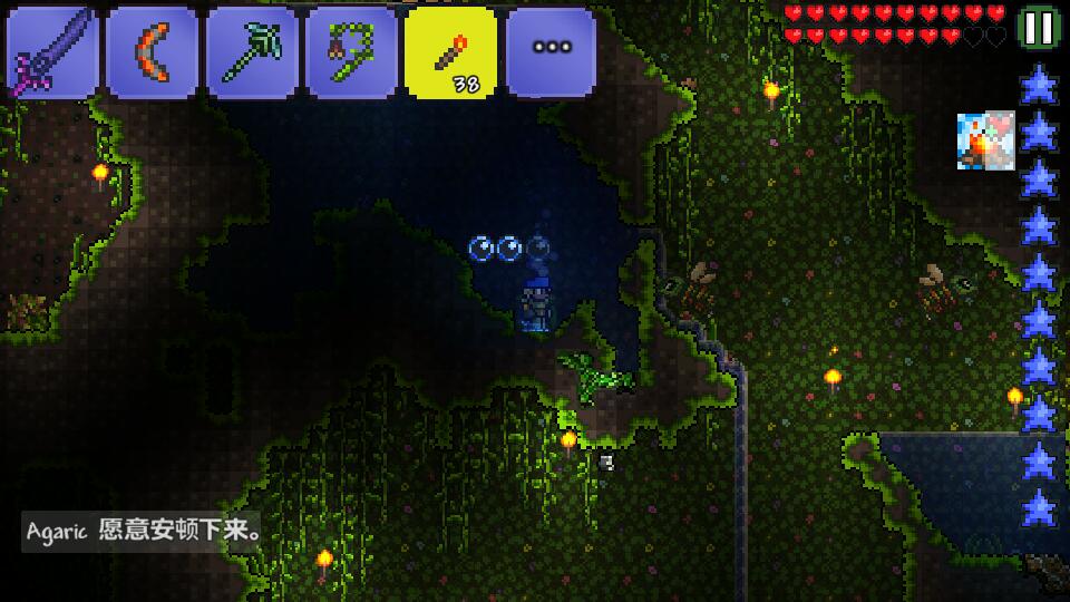 泰拉瑞亚新三矿是什么