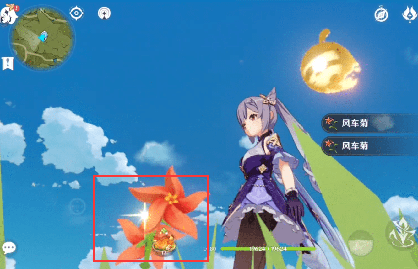 原神风车菊在哪里