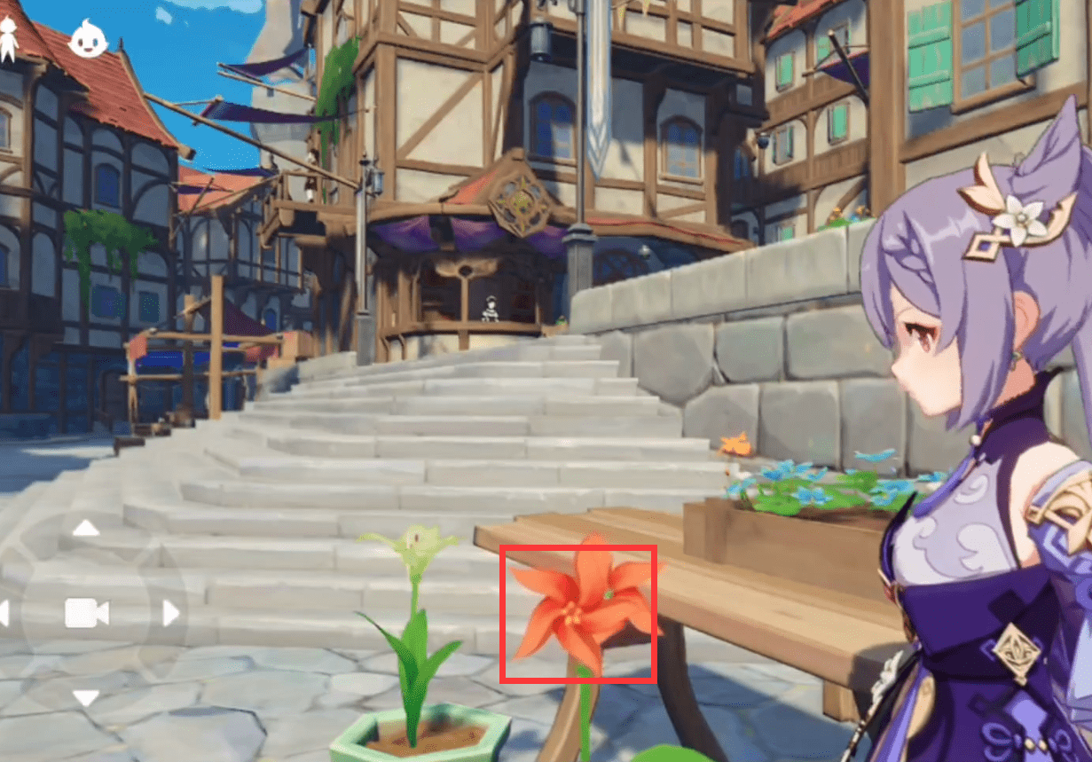 原神风车菊在哪里