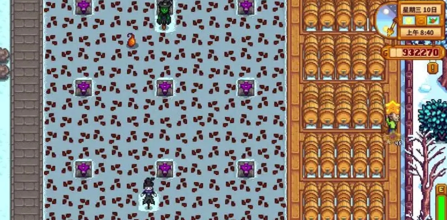 星露谷物语淡啤酒位置在哪