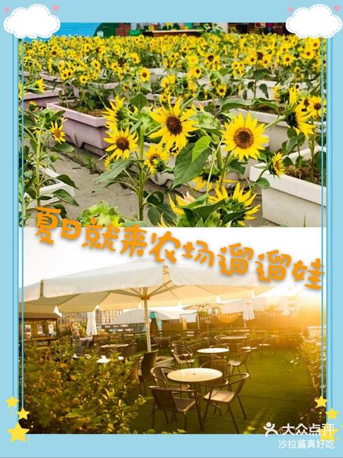 蜜蜂农场逃脱手游下载_蜜蜂农场逃脱官网下载_手机安卓苹果app