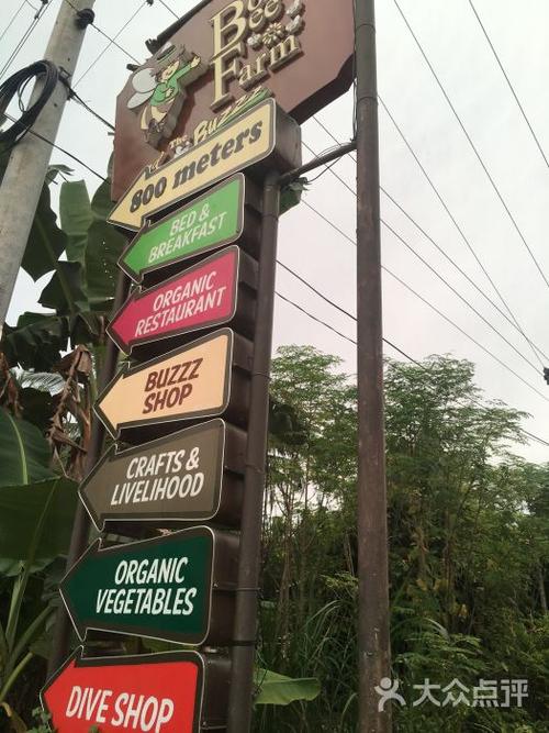 蜜蜂农场逃脱手游下载_蜜蜂农场逃脱官网下载_手机安卓苹果app