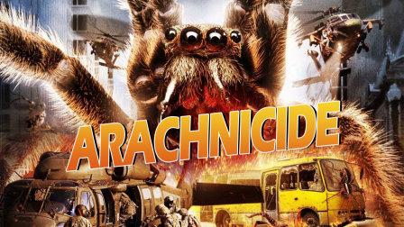 蜘蛛回巢游戏下载_蜘蛛回巢官网下载_手机安卓苹果app