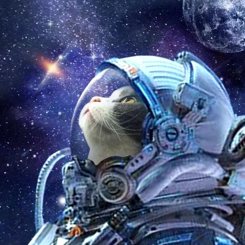 太空猫剿毁行动手游下载_太空猫剿毁行动官网下载_手机安卓苹果app