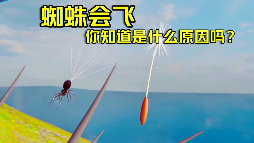 会飞的蜘蛛游戏下载_会飞的蜘蛛手游下载_会飞的蜘蛛安卓苹果app下载