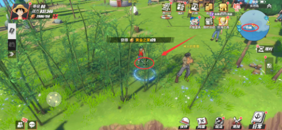 航海王热血航线有哪些隐藏任务