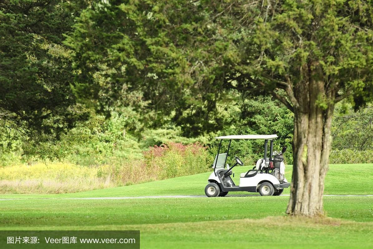 疯狂的高尔夫球车2官网下载app_疯狂的高尔夫球车2手游攻略_安卓苹果最新版本