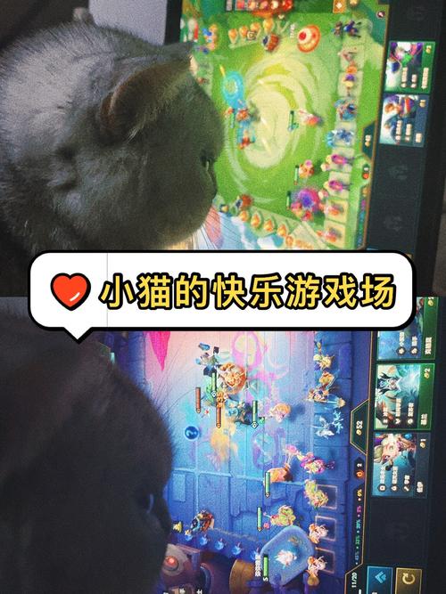 小猫咪睡觉觉游戏下载_小猫咪睡觉觉官网下载_手机安卓苹果app