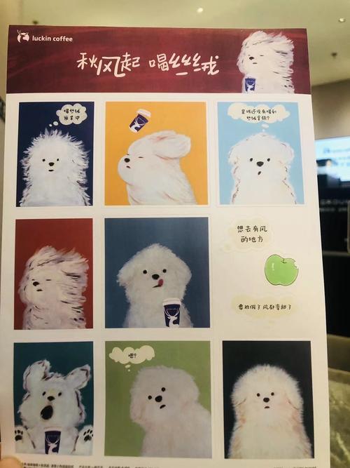 小猫咪拼图手游下载_小猫咪拼图官网下载_手机安卓苹果app