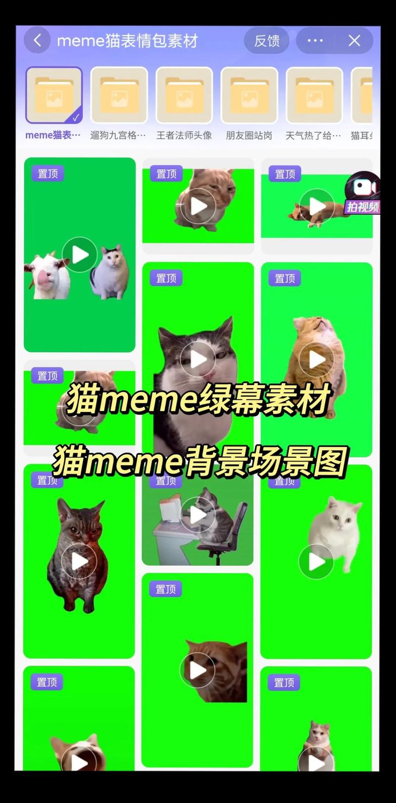 小猫咪咪游戏下载_小猫咪咪手游下载_小猫咪咪安卓苹果app