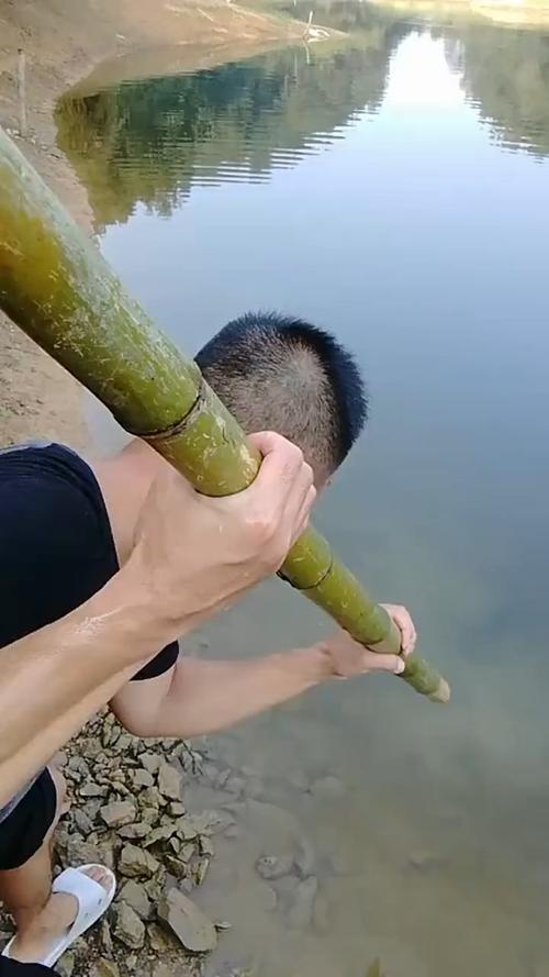 帆船叉鱼游戏官网下载app_帆船叉鱼手游攻略_安卓苹果最新版本