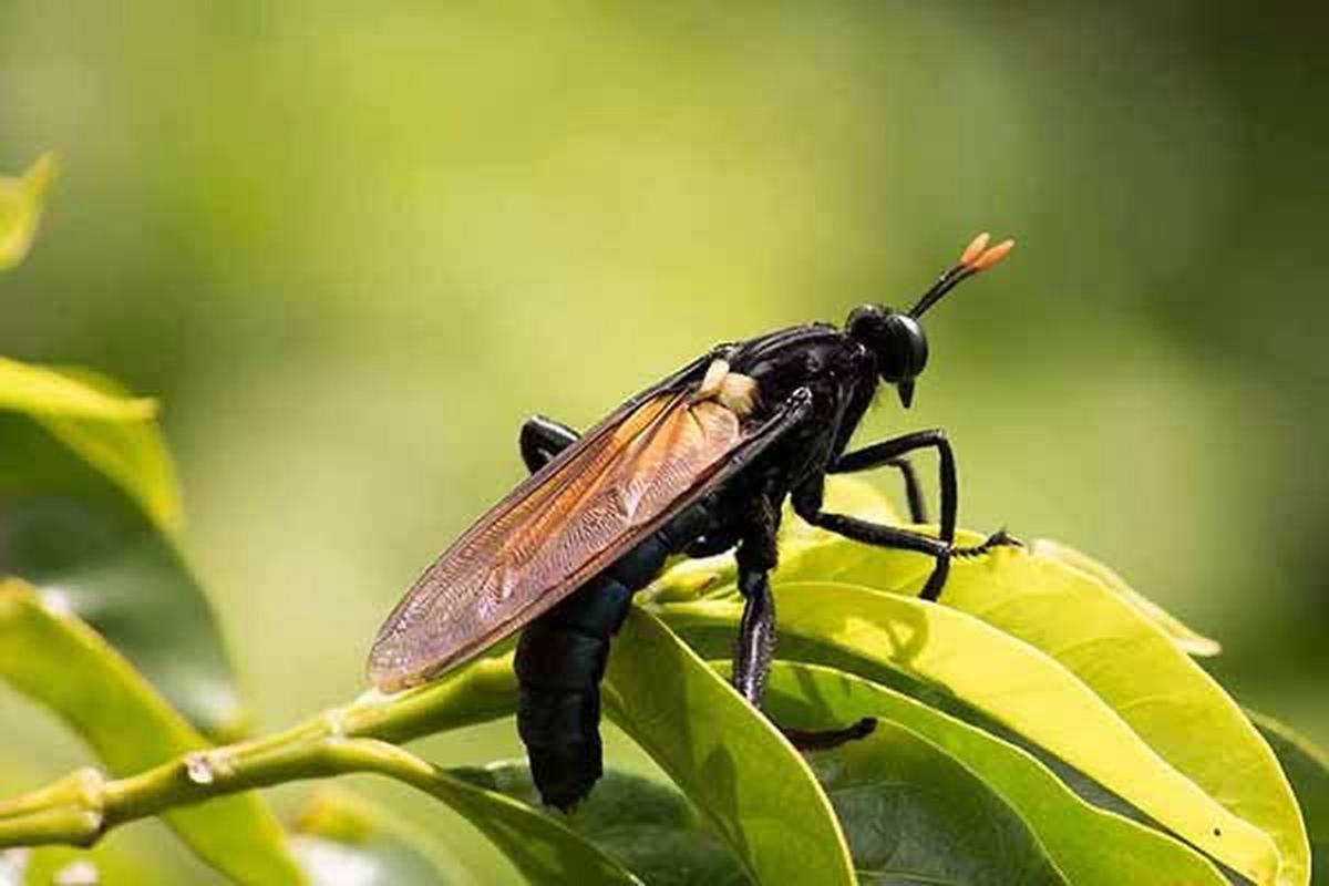 苍蝇登月查找数字游戏下载_苍蝇登月查找数字游戏官网下载_苍蝇登月查找数字手游安卓苹果app