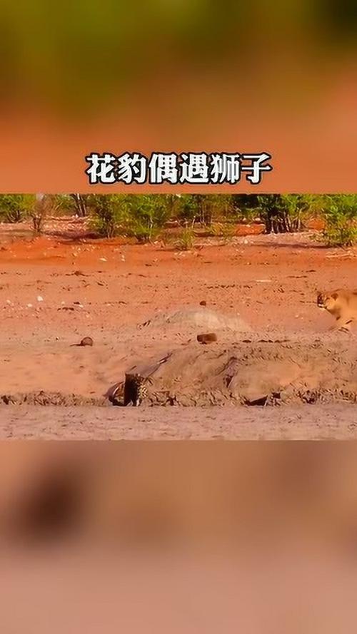 花豹逃脱手游下载_花豹逃脱官网下载_手机安卓苹果app