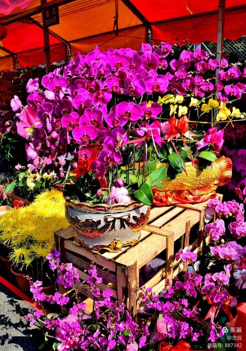 花街逃脱手游下载_花街逃脱官网下载_手机安卓苹果app