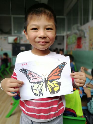 花蝴蝶图画册游戏下载_花蝴蝶图画册官网下载_手机安卓苹果app
