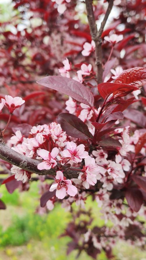 花花世界找不同游戏下载_花花世界找不同官方下载_安卓苹果手机app