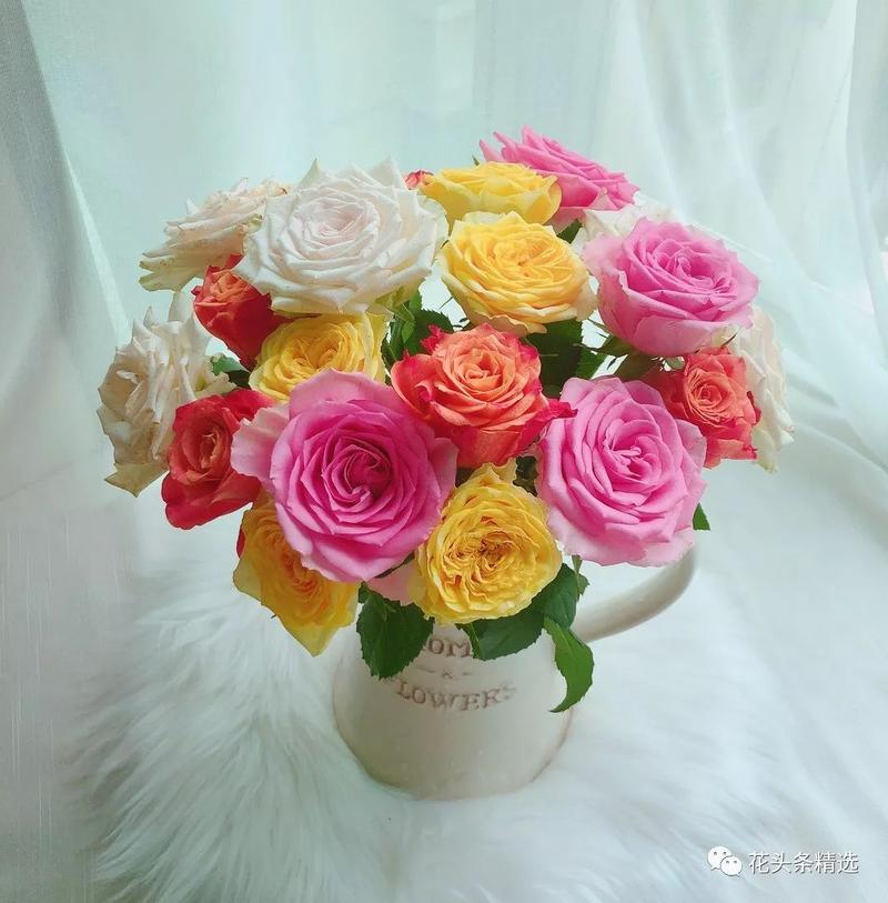 花朵翻翻对对配游戏下载_花朵翻翻对对配官网下载_手机安卓苹果app