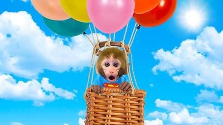 小动物坐热气球游戏下载_小动物坐热气球官网下载_手机安卓苹果app