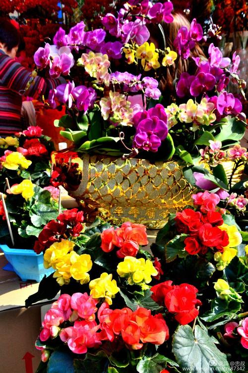 花街逃脱手游下载_花街逃脱官网下载_手机安卓苹果app