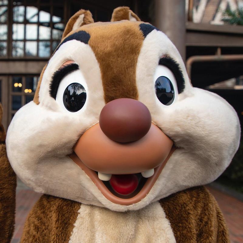 花栗鼠拼图游戏下载_花栗鼠拼图手游下载_花栗鼠拼图安卓苹果app