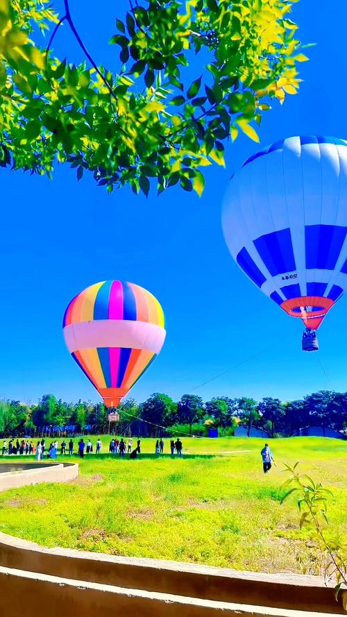 小动物坐热气球游戏下载_小动物坐热气球官网下载_手机安卓苹果app