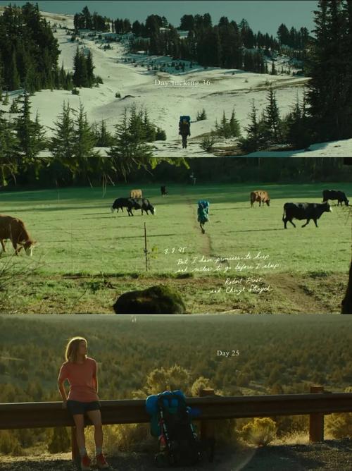 自我救赎之旅手游下载_自我救赎之旅官网下载_手机安卓苹果app