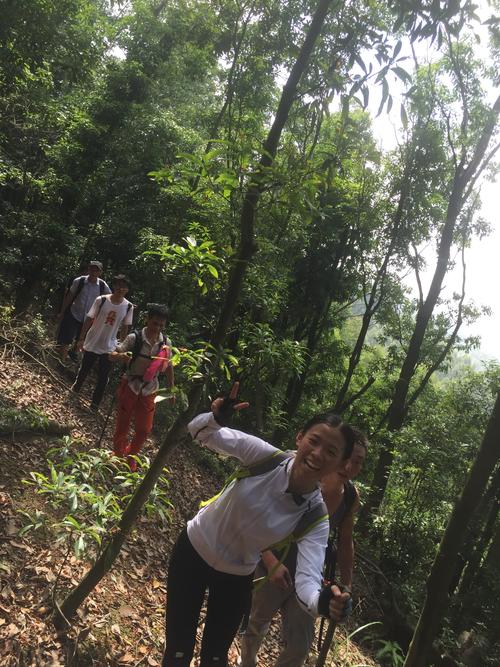 勇闯野人谷手游下载_勇闯野人谷官网下载_手机安卓苹果app