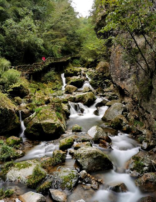 勇闯野人谷手游下载_勇闯野人谷官网下载_手机安卓苹果app