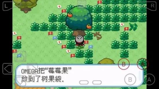 口袋妖怪火红树果森林怎么走