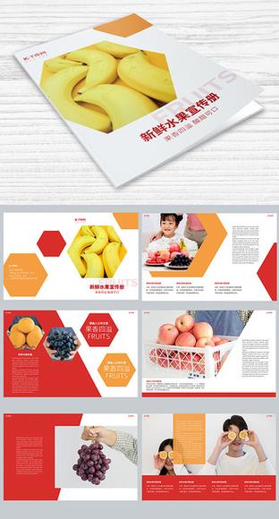 夏季水果图画册游戏下载_夏季水果图画册官网下载_夏季水果图画册安卓苹果app