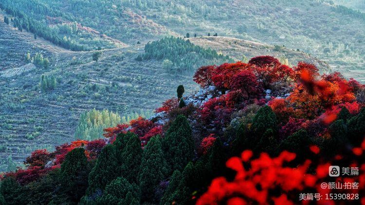 红绿方块走小道游戏下载_红绿方块走小道官方下载_安卓苹果手机游戏app下载