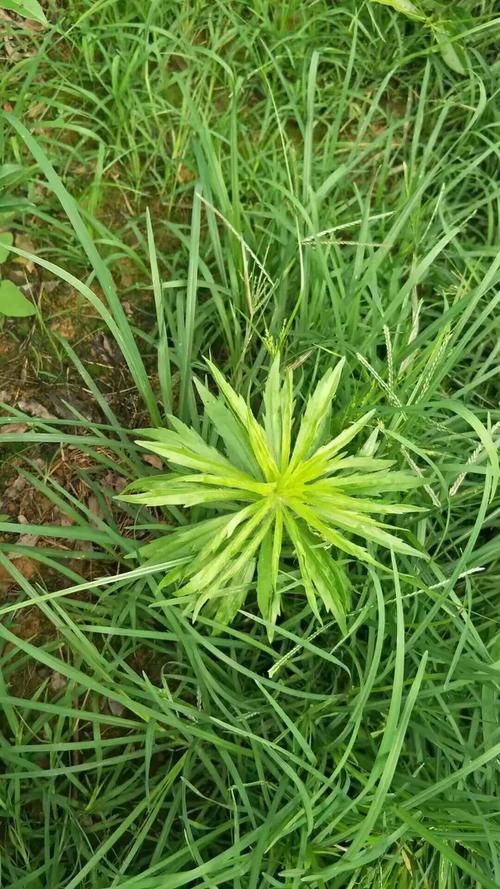 红绿方块走小道游戏下载_红绿方块走小道官方下载_安卓苹果手机游戏app下载