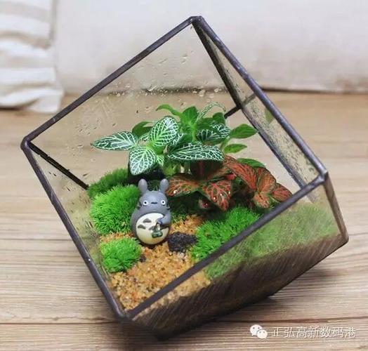 绿色妖精找星星游戏下载_绿色妖精找星星手游下载_绿色妖精找星星安卓苹果app