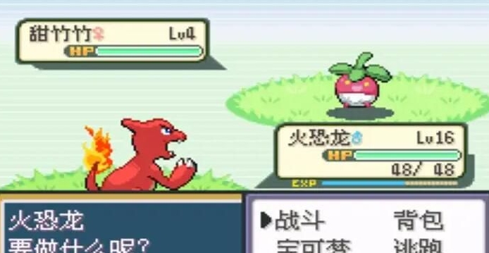 口袋妖怪火红钥匙卡片在哪