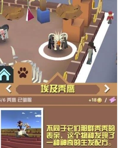 疯狂动物园如何抓稀有动物