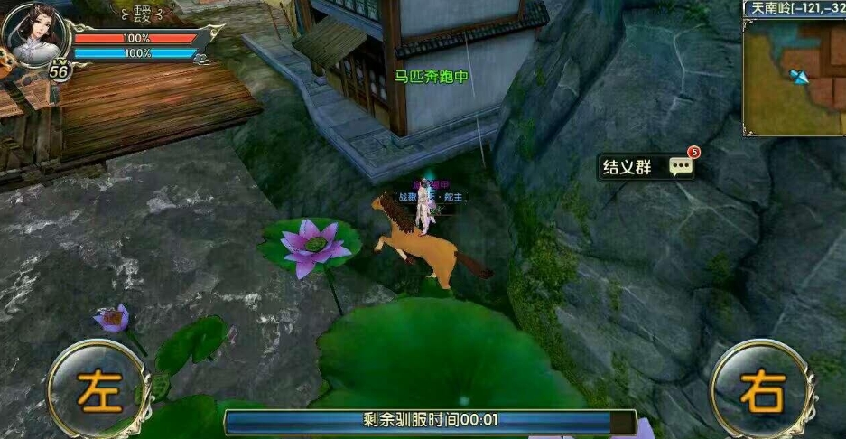 卧虎藏龙贰哪里有马