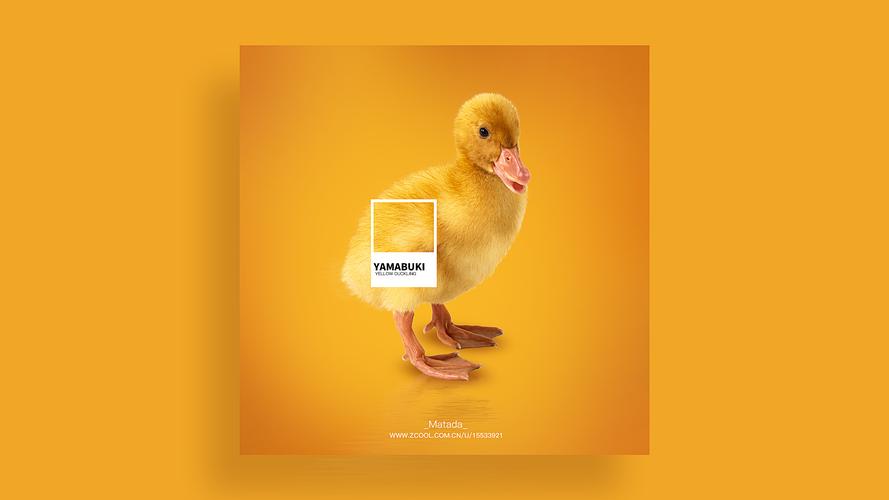 呱呱鸭与黄小鸭手游下载_呱呱鸭与黄小鸭官网下载_手机安卓苹果app