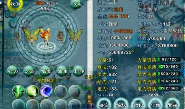 忘仙后天技能丹是什么