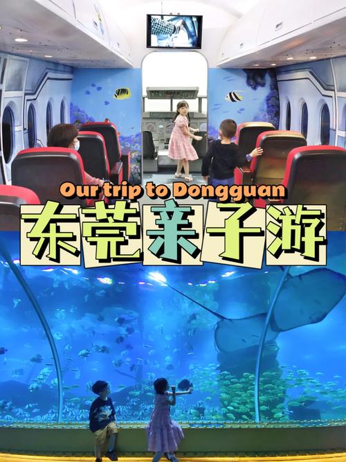 神秘海洋找星星手游下载_神秘海洋找星星官网下载_手机安卓苹果app