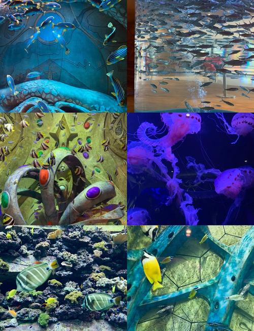 神秘海洋之旅游戏下载_神秘海洋之旅官网下载_手机安卓苹果app