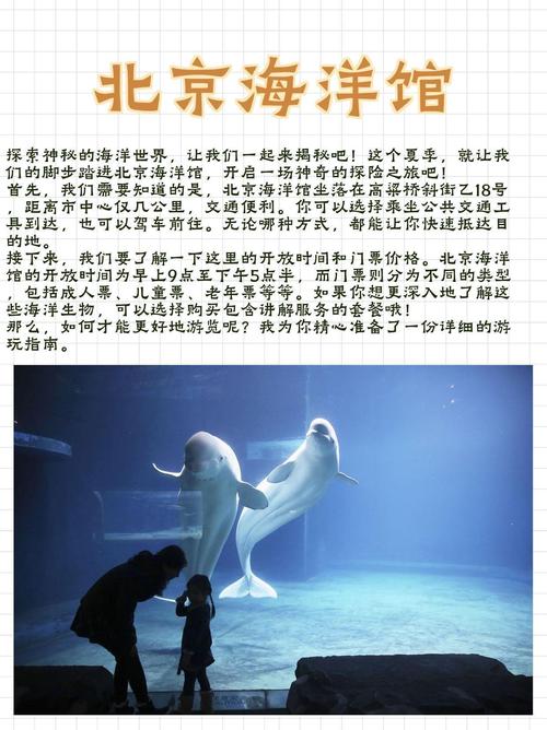 神秘海洋之旅游戏下载_神秘海洋之旅官网下载_手机安卓苹果app