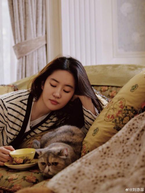 神仙姐姐刘亦菲代言手游下载_官网正版下载_安卓苹果app