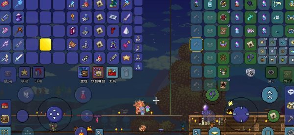 泰拉瑞亚圣甲虫怎么得