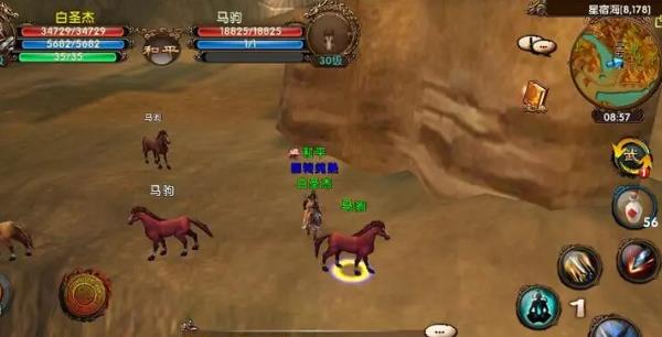 卧虎藏龙黑马哪里抓