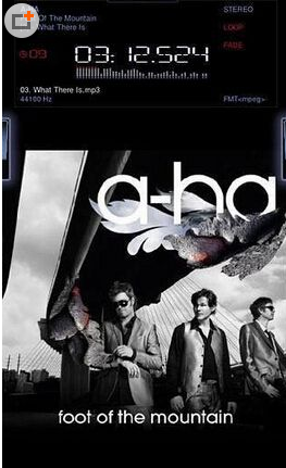 中子音乐播放器手机版下载