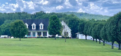 田纳西州逃脱手游下载_田纳西州逃脱官网下载_手机安卓苹果app