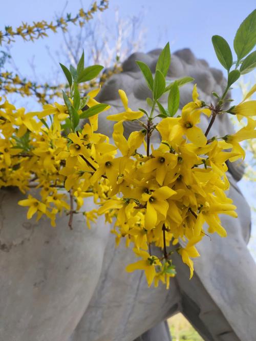生机盎然春天手游下载_生机盎然春天官网下载_手机安卓苹果app