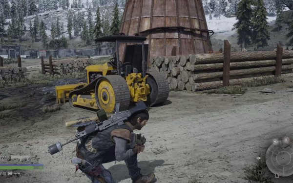 往日不再二犬在哪里